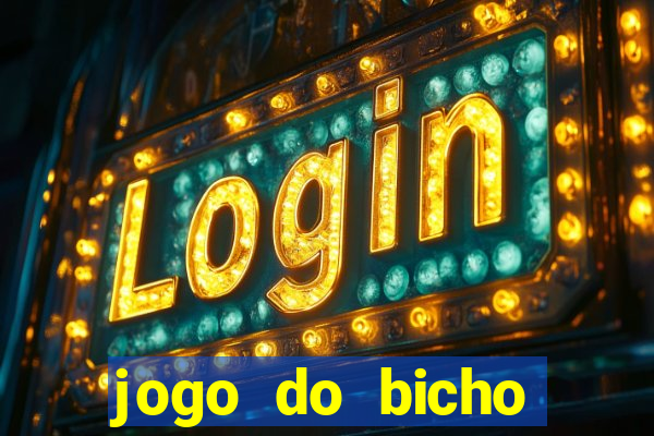 jogo do bicho crash bingo